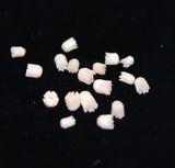 Angel Skin Coral Carved Tulip Beads (6)