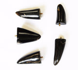 Black Horn Tooth Pendants Large - Lucky Amulets