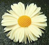 Carved Ivory Flat Back Daisies Vintage