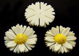 Carved Ivory Flat Back Daisies Vintage