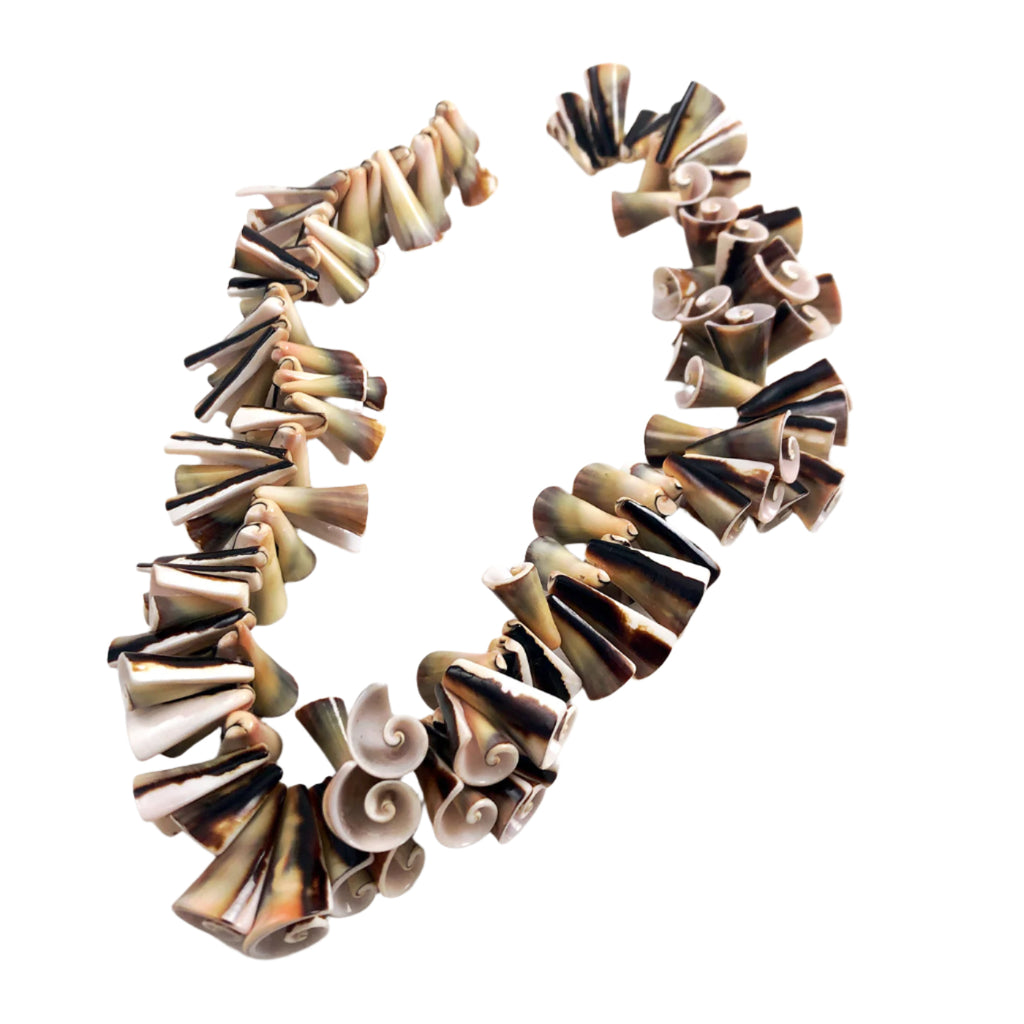 Lisway Shell Trumpet Beads
