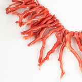 Momo Coral Extra Long Branch Beads AA Japan