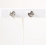 Little Nemo Screwback Earrings 1920's