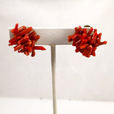 Red Branch Coral Earrings