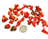 Italian Red Coral Chip Beads