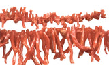 Italian Red Coral Branch Beads Natural Coral