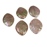 Large Abalone Crackle Oval Beads
