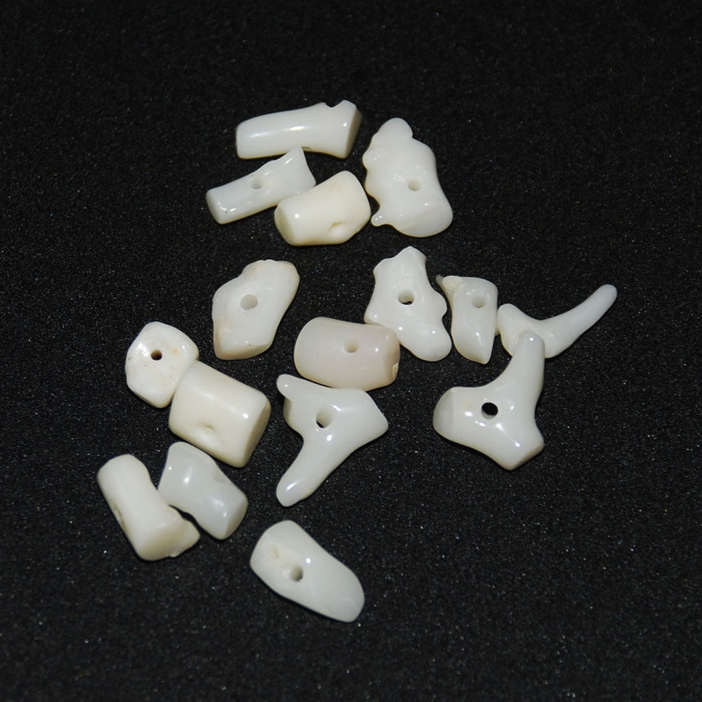 White Coral Frangia Branch Beads 