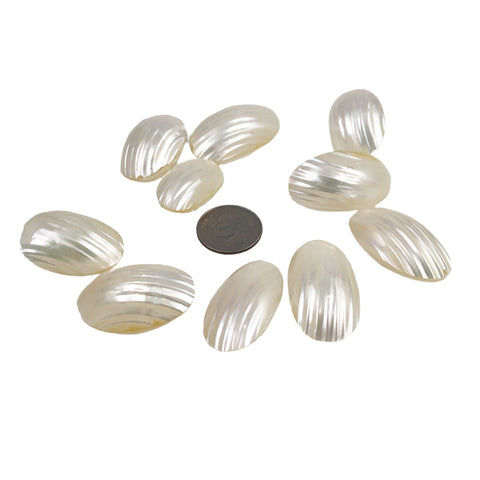 Silver mouth oval Shell Beads
