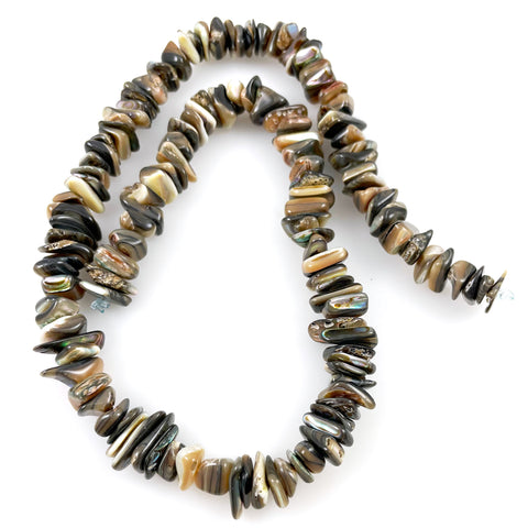 abalone shell beads