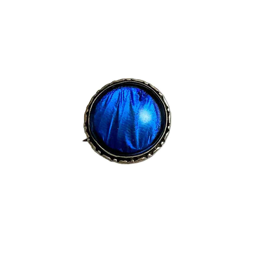 モルフォブルー Vintage Blue Morpho Butterfly Wing Pin or Brooch Brazil - Estate