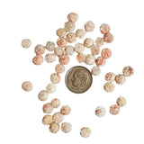 Angel Skin Coral Carved Rose Cabochons 7mm Pair