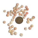 Angel Skin Coral Carved Rose Cabochons 7mm Pair