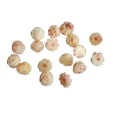Angel Skin Coral Carved Rose Cabochons 7mm Pair Backs