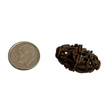 Chinese Carved Nut Bead Antique