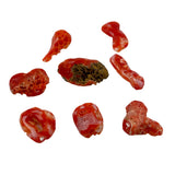 Natural Italian Red Coral Cabochons