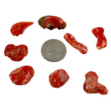 Natural Italian Red Coral Cabochons