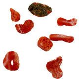 Natural Italian Red Coral Cabochons