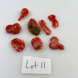 Natural Italian Red Coral Cabochons