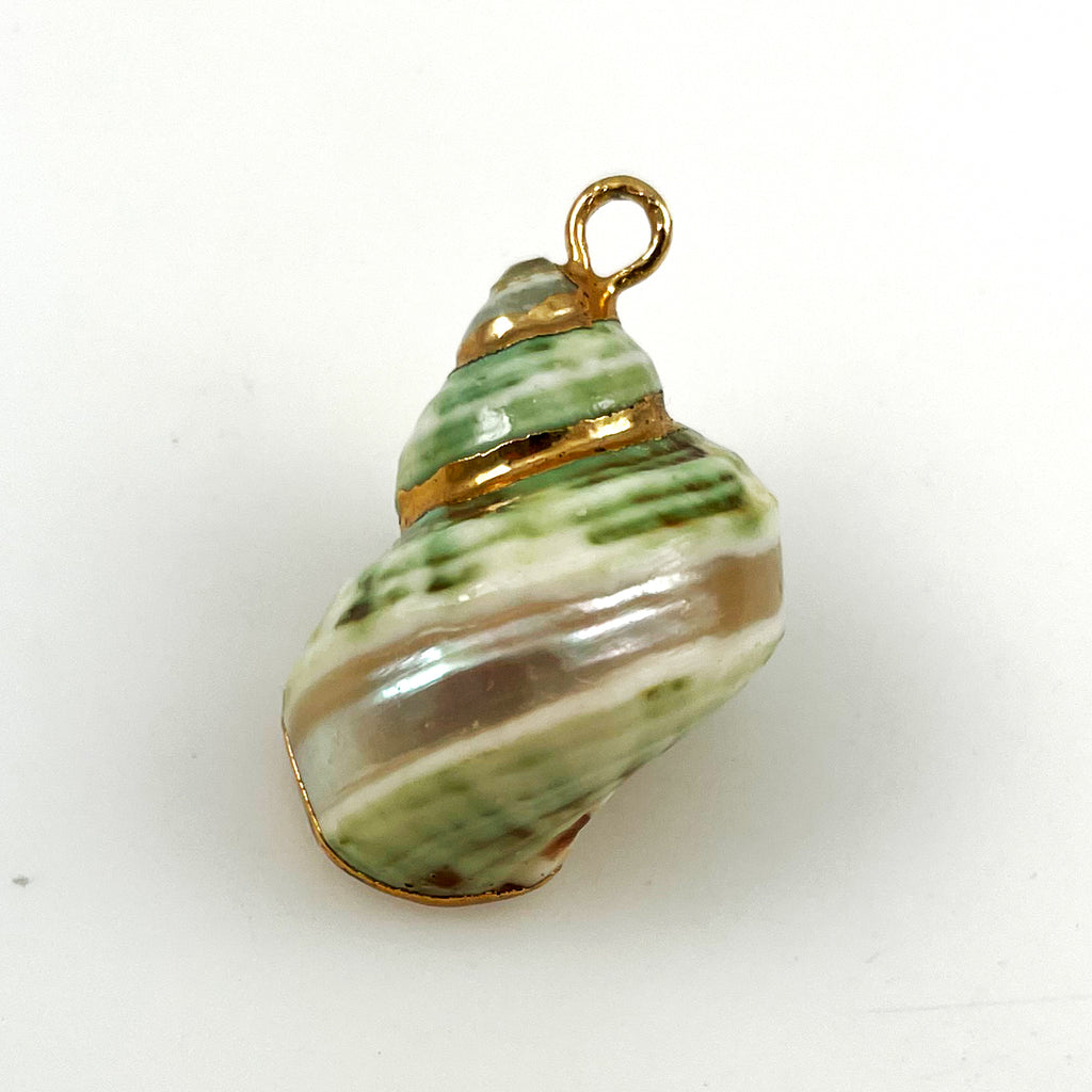 Green Shell Pendant Gold Accents