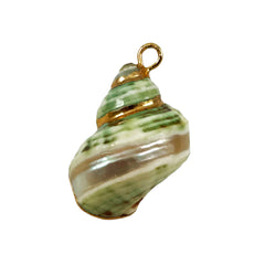 Green Shell Pendant Gold Accents