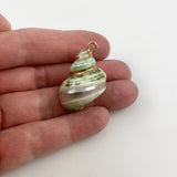 Green Shell Pendant Gold Accents