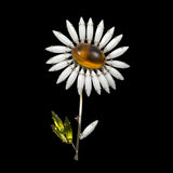 Schreiner Daisy Floral Rhinestone Brooch Signed Vintage