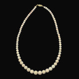 Graduated Coral 14Kt Gold Clasp Light Pink