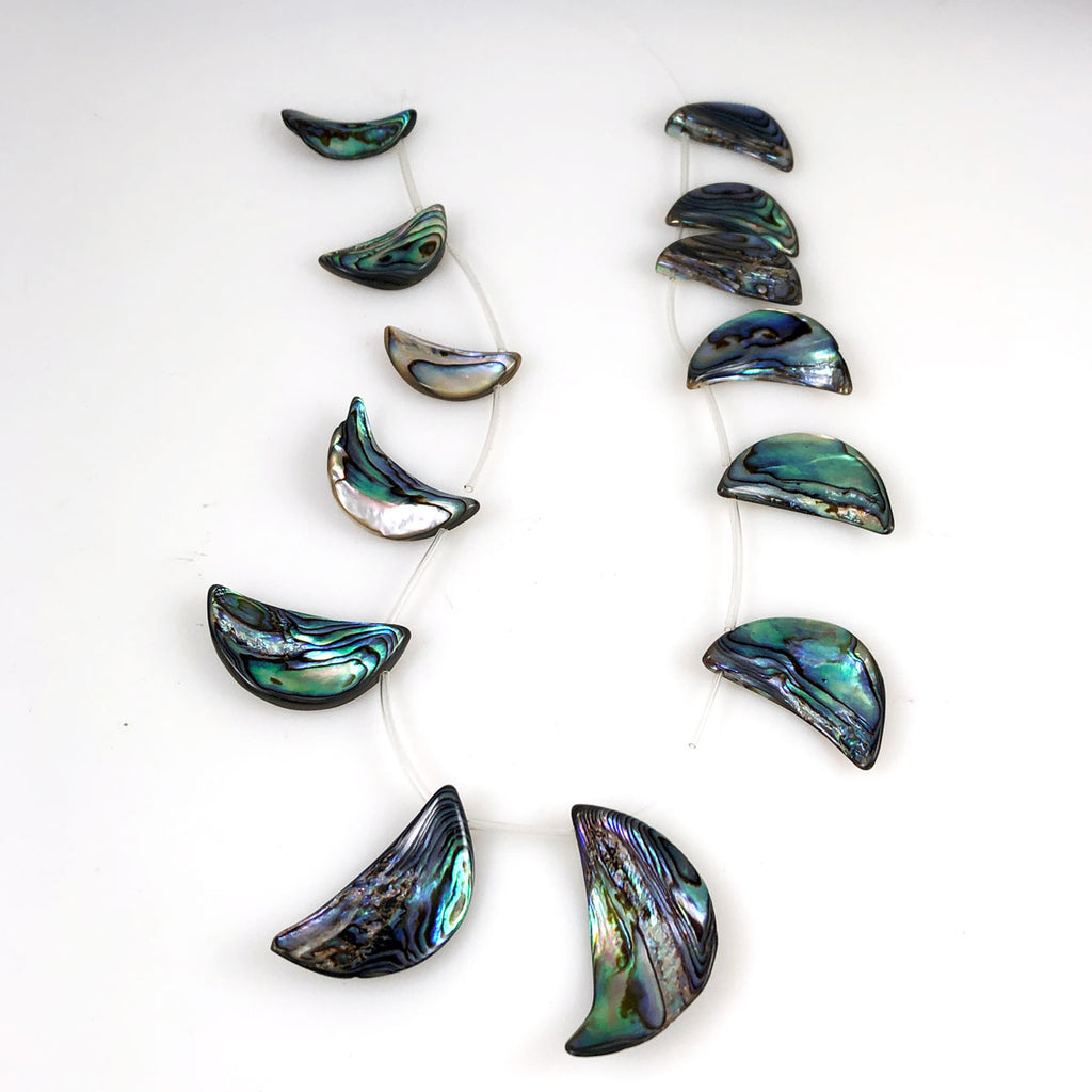 Abalone Shell Tusk Beads