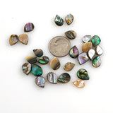 Abalone Shell Teardrop Beads Briolettes
