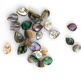Abalone Shell Teardrop Beads Briolettes