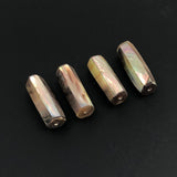 Large Abalone Shell Tube Beads