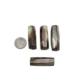 Long Abalone Shell Beads