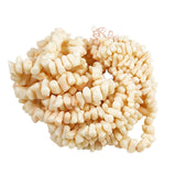 Angel Skin Coral Branch Beads Graduated Strand