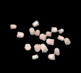 pink coral carved tulip flower beads

