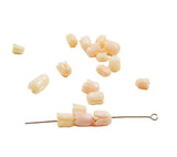 Angel Skin Coral Carved Tulip Beads (12)
