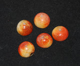 Genuine Apple Coral Hemisphere Beads