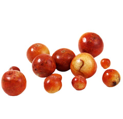 Apple Coral Round Beads Rare Genuine