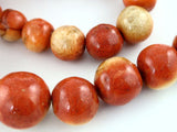 Apple Coral Round Beads Rare Genuine Coral