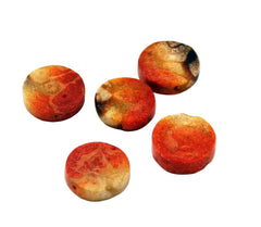 Genuine Apple Coral Coin Beads