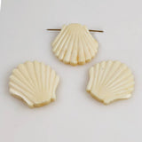 Carved bone shell beads