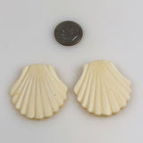 Carved bone shell beads