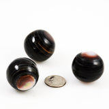 Large Brown Mother of Pearl Round Beads 26mm