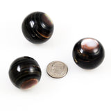 Large Brown Mother of Pearl Round Beads 26mm
