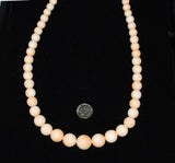 Cameo Coral Shell Beads 