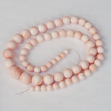Italian Cameo Coral Shell Beads 