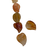 Carnelian Gemstone Carved Leaf Beads