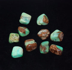 Chrysoprase Crystal Tumbled Stones - 3 Pocket Palm Stones