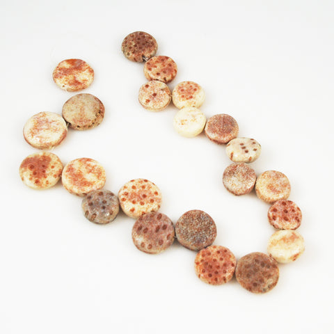 Fossilized coral beads