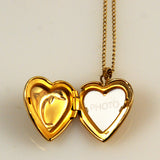 Gold Filled Heart Locket with Dolphin
